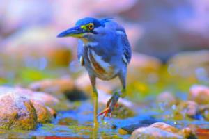 巴黎主场轻取对手，继续领跑法甲积分榜！